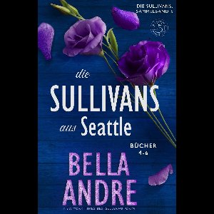 Die Sullivans Sammelband 5 - Die Sullivans aus Seattle, Bücher 4-6