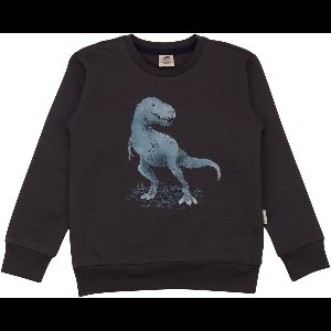 Walkiddy® Kinder Sweatshirt – Jongens & Meisjes – Anthracite serie – Maat 98 – GOTS-gecertificeerd Biologisch Katoen | Comfort & Duurzaamheid voor Kinderen