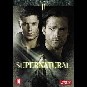 Tv Series - Supernatural Season 11