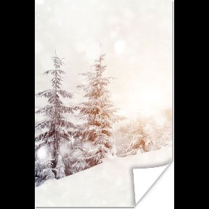 Poster Boom - Sneeuw - Winter - 20x30 cm - Kerstmis Decoratie - Kerstversiering - Kerstdecoratie Woonkamer - Kerstversiering - Kerstdecoratie voor binnen - Kerstmis