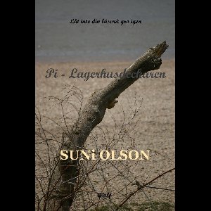 Pi: Lagerhusdeckaren