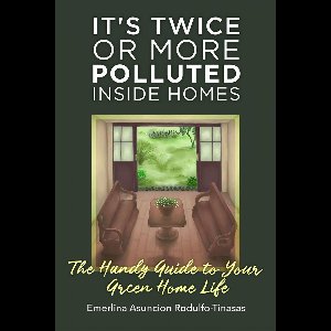 It's Twice or More Polluted Inside Homes
