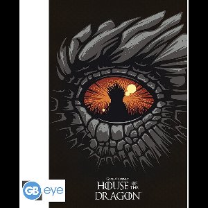 Poster House of the Dragon - 61x91,5cm