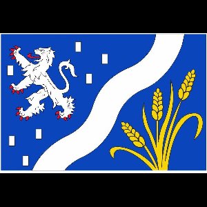 Vlag Haarlemmermeer 100x150cm