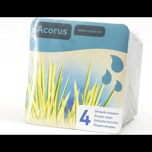 Moerings - Droogverpakking vijverplant - Acorus