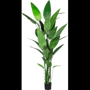 Kopu® Kunstplant Canna 210 cm 32 bladeren - in zwarte pot - Bloemriet