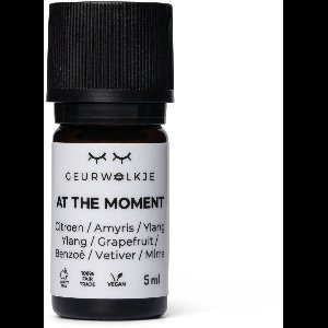 At The Moment - Geurwolkje® Blend - 100% Etherische Olie - 5 ml