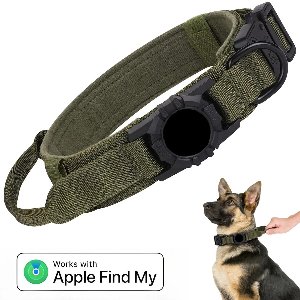 BlueTime - Hondenhalsband inclusief Tag - Hondenriem - Honden Halsband - Hondentuig - Honden Tuigje - Geschikt voor Apple Find My - Maat XL - Groen