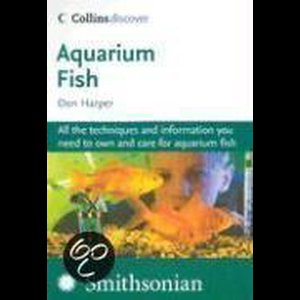 Aquarium Fish