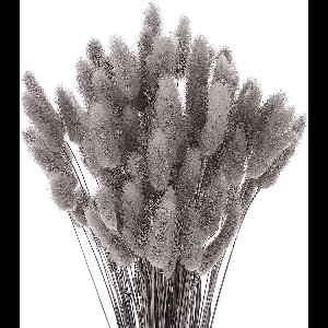 50 Stokken Pampasgras Gedroogde Bloemen Geen Geur Nooit Verdorren Gedroogd Bloemen Boeket Boho Decor Extra Pluizig Decoratieve Huistoebehoren (Grijs-Zwart)