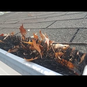 dakgoot egel - dakgootborstel - 12 m Lang - diameter ca. 12 cm - dakgootegel - dakgootbescherming