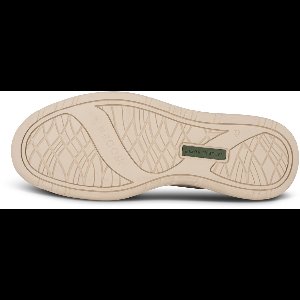 Sneakers Frode Leather