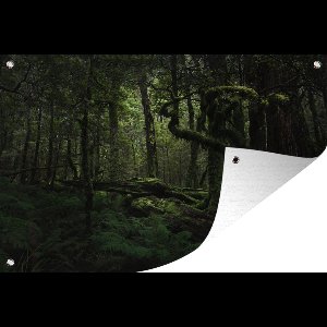 Muurdecoratie Donkere sprookjes jungle - 180x120 cm - Tuinposter - Tuindoek - Buitenposter