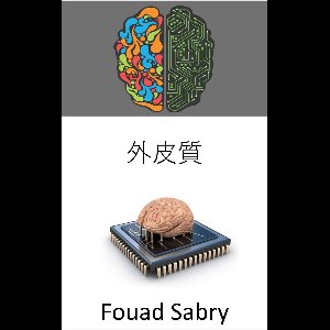 情報通信技術における新興技術 [Japanese] 12 - 外皮質