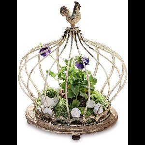 LOBERON Stolp Ipas antiekcrème