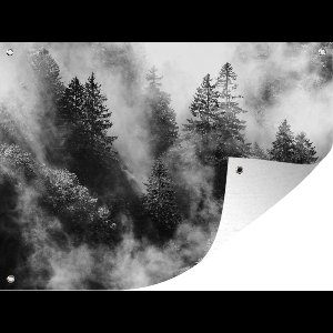Tuinposter - Tuindoek - Tuinposters buiten - Mistwolken trekken door het Zwarte Woud - zwart wit - 120x90 cm - Tuin