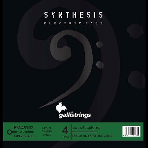 Galli BSN-43102 Bassnaren Set Nickel & Steel Double Winding Regular Custom (043-102)