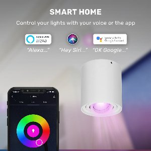 Ray smart Opbouwspot - Plafondspot - Kantelbaar - Rond GU10 - RGBWW - Wifi + Bluetooth - Google Home, Amazon Alexa en Siri - Wit - Bestuurbaar via App en Stem