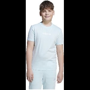 Adidas Essentials T-shirt Met Korte Mouwen Blauw 11-12 Years Jongens,Meisjes