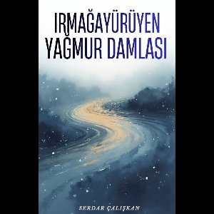 IRMAĞA YÜRÜYEN YAĞMUR DAMLASI