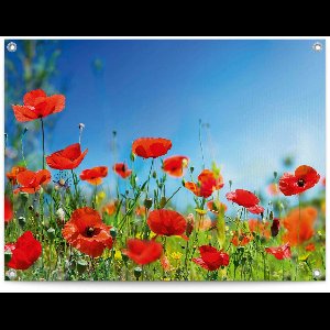 Tuinposter Zomerbloemen - 60 x 80 - Canvas - REINDERS