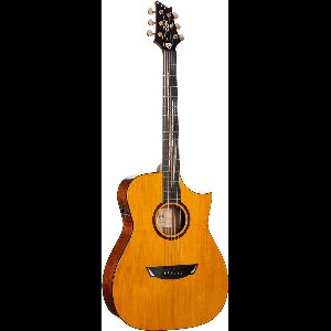 Cort Luxe II Frank Gambale Signature – Massieve Adirondack Top, Flamed Blackwood & Fishman Flex Blend