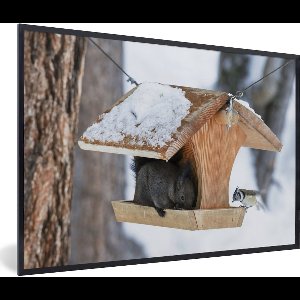 Fotolijst incl. Poster - Eekhoorn - Vogelhuisje - Vogel - Sneeuw - 90x60 cm - Posterlijst - Kerstmis Decoratie - Kerstversiering - Kerstdecoratie Woonkamer - Kerstversiering - Kerstdecoratie voor binnen - Kerstmis