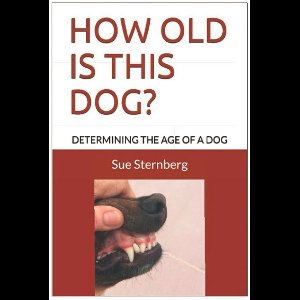 How Old Is This Dog?