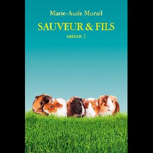 Sauveur & Fils 2 - Sauveur & Fils saison 2