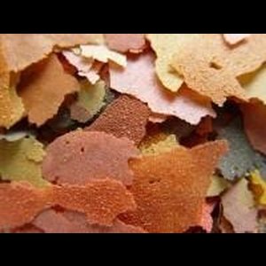 Vivani Premium Aquarium Vlokken Visvoer 5L a 850gram