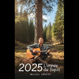 2025 L’année du sapin