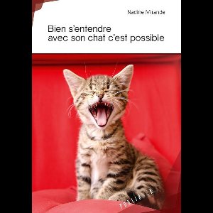 Bien s'entendre avec son chat c'est possible