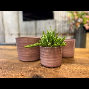 Glanzend Oud Roze Pot Berlin D17 x D15