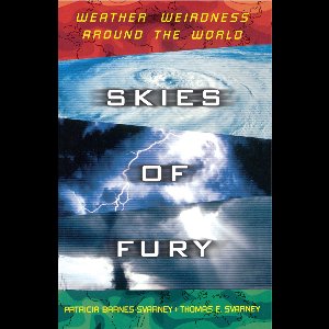 Skies of Fury