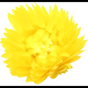 100 stuks - Gele droogbloemen zonder steel | Uniek en geschikt voor plant versiering