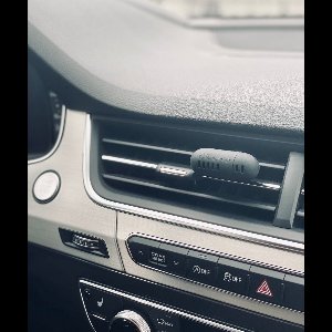 Car Diffuser - Champagne Rhubarb