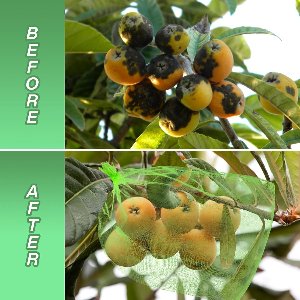 OIMG 100 stuks - Organza Zakjes - 15 x 20 cm - Plantenbeschermhoezen - Fruithoezen - Beschermzakjes - netzakken - met trekkoord - groen - ongediertebarrière - Geschikt Voor planten, fruitbloemen, groenten, Snoep, Sieraden en Cadeau