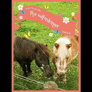 Sadelklubben 11 - Sadelklubben 11: Nye udfordringer