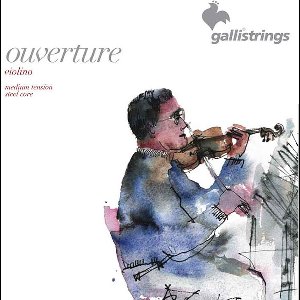 Galli OV42 violin string set, 1/2, premium steel core