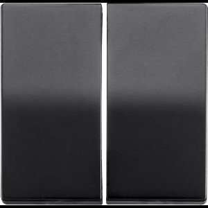 ION | Bedieningswip Serieschakelaar | Mat Zwart - V1/J1 serie