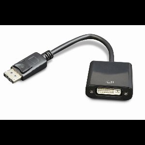 Gembird A-DPM-DVIF-002 video kabel adapter 0,1 meter DisplayPort DVI Zwart