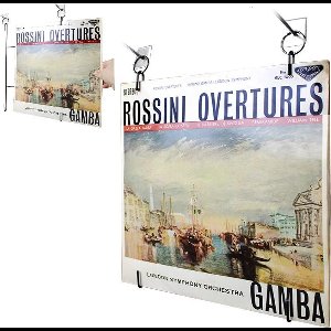 Vinyl lp platen wissellijst - industrieel design - frame voor ophangen en tonen lp vinyl platen - set van 5