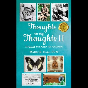 Thoughts on my Thoughts II