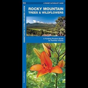 Rocky Mountain Trees & Wildflowers