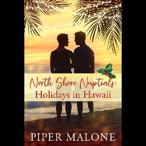 The Beachside Boys 5 - North Shore Nuptials: Holidays in Hawaii