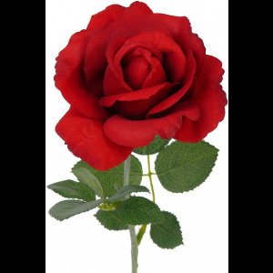 Kunst roos Carol - rood - 37 cm - decoratie bloemen