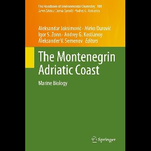 The Montenegrin Adriatic Coast