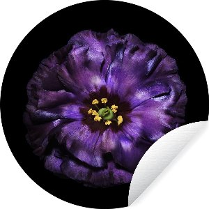 WallCircle - Muurstickers - Behangcirkel - Een purper bloem die is afgebeeld is tegen zwarte achtergrond - 50x50 cm - Muurcirkel - Zelfklevend - Ronde Behangsticker