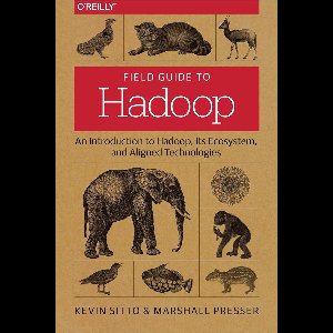 Field Guide to Hadoop