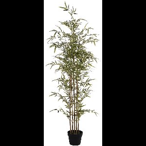 Vente-unique Kunstbamboe met natuurlijke stam - H160 - MUCURI